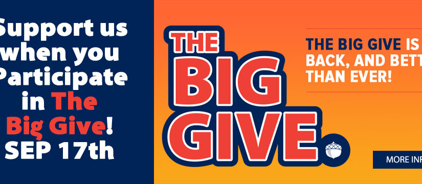 The Big Give